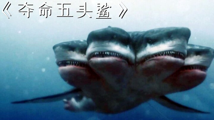 سمكة قرش متحوّلة ذات خمس رؤوس تظهر في المحيط وتهاجم السياح بلا رحمة! «قرش الخمس رؤوس القاتل»