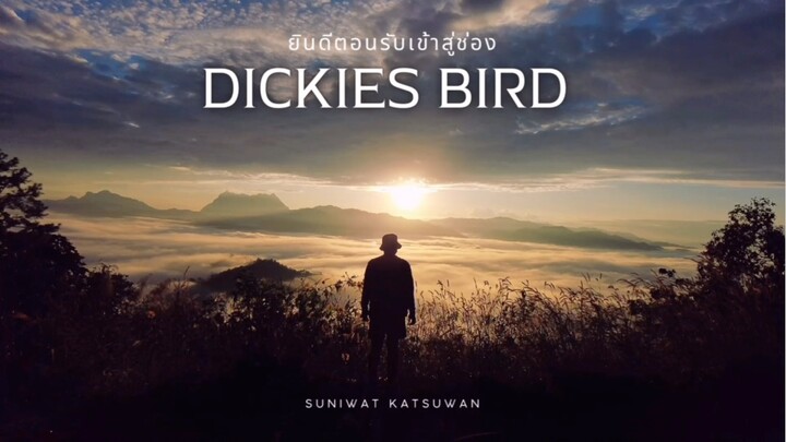 จุดชมวิว เด่นทีวี เชียงใหม่