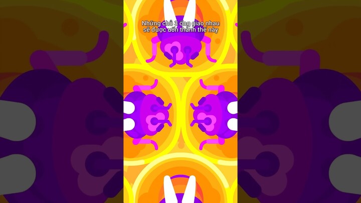 Ong KHÔNG xây tổ hình lục giác!