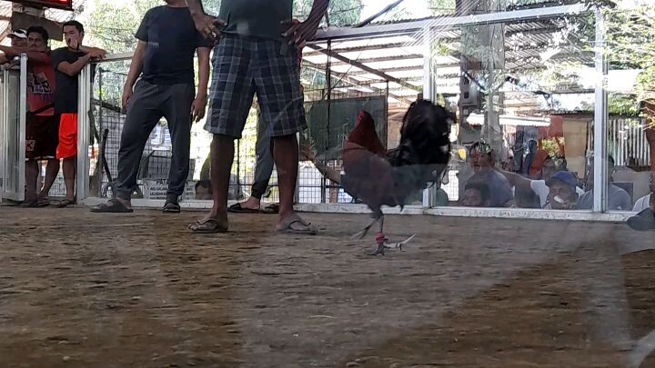 d na sumugat😅😅