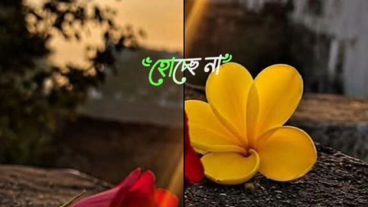 আমার আইডিতে বিউ হচ্ছে না