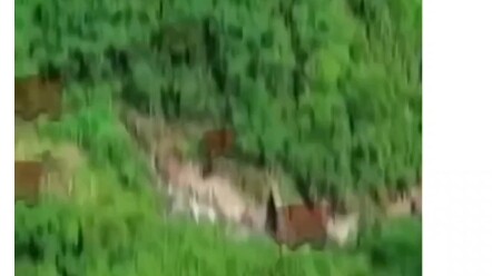 这个又是一道给钱运动了，所以说给你500万你敢玩吗[没眼看