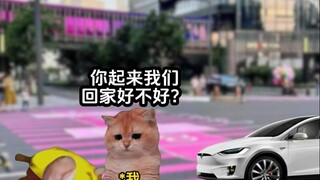 لقد رأيت غروب الشمس، لكنني لم أر شروقها.