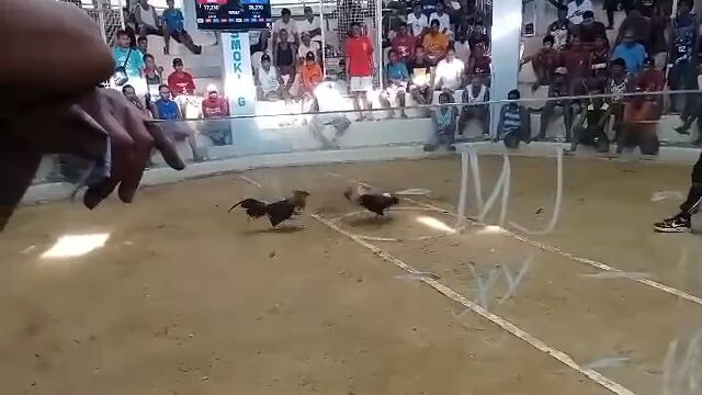 dec 28 3rd fight lost