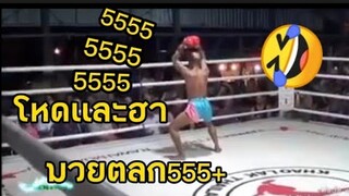 มวยตลกๆ เต้นกวนๆ555+🤣!!!!