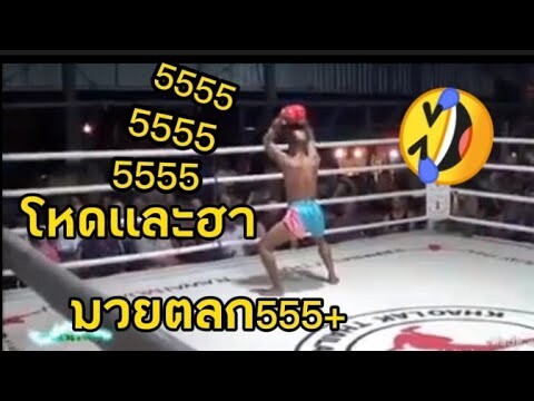 มวยตลกๆ เต้นกวนๆ555+🤣!!!!