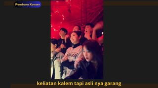 Kelihatan garang tapi aslinya lembut