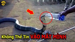 🔴 Những Video Giải Cứu Động Vật Cảm Động Khiến Hàng Triệu Người Rơi Lệ Vô Tình Được Camera Ghi Lại