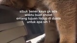 selalu sibuk