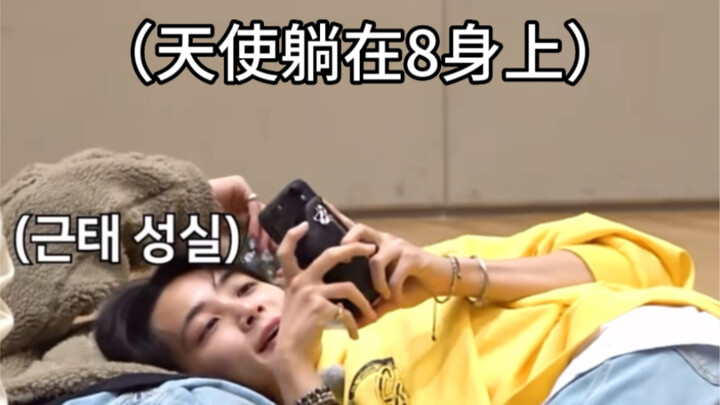 【All8】Rất thích xem những cảnh ôm ấp, âu yếm giữa người và thú cưng.