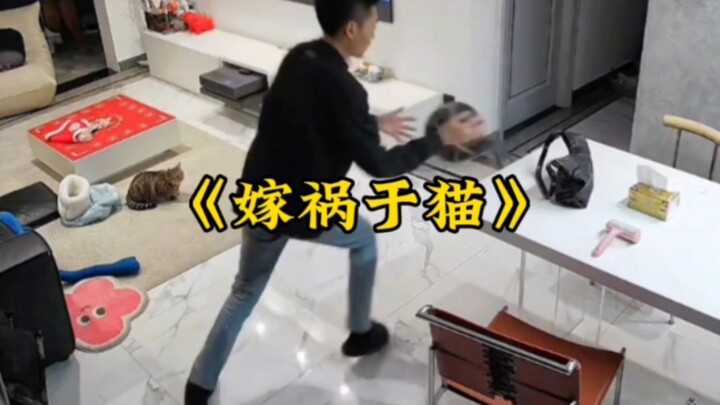 สารคดีขนาดใหญ่เรื่อง “โยนความผิดให้แมว” มาแล้ว รับชมได้เลย!