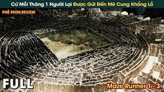 Cứ Mỗi Tháng 1 Người Lại Được Gửi Đến Mê Cung Khổng Lồ - Maze Runner Full || Phê Phim Review