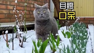 Those embarrassing moments for animals!