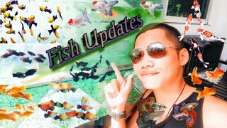 Fish Updates On The 30th Day Of October 2022.