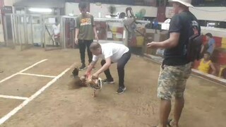 sqc saturday fight