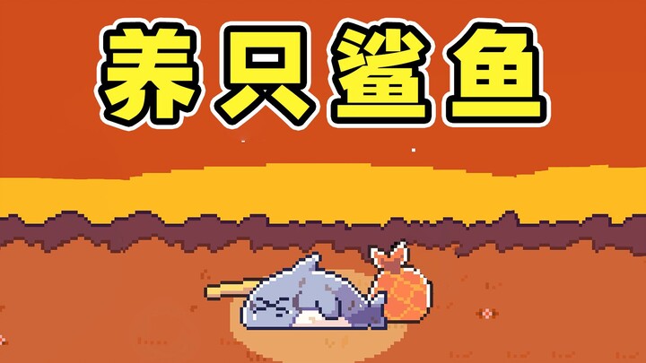 可爱的小鲨鱼背后，结局让人心暖！