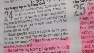 Daily Verse.                  Exodus 24:3-4