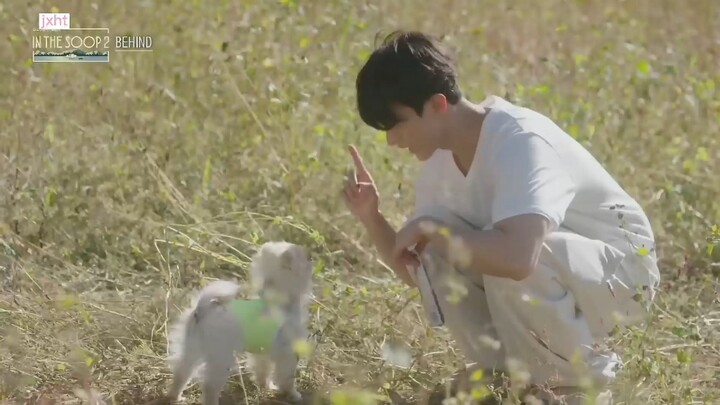 Chú chó lớn dạy dỗ chú chó nhỏ, Hạt Đậu mềm mại