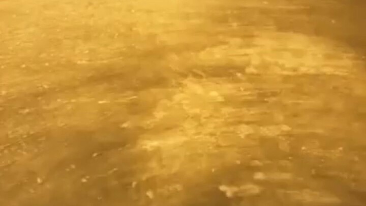 Happy Chinese New Year 2026