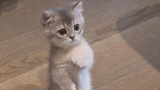 لقد وقفت هكذا برشاقة وحيوية!