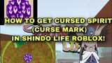 CURSED SPIRIT (CURSE MARK SEAL) SPAWN LOCATION SHINDO LIFE