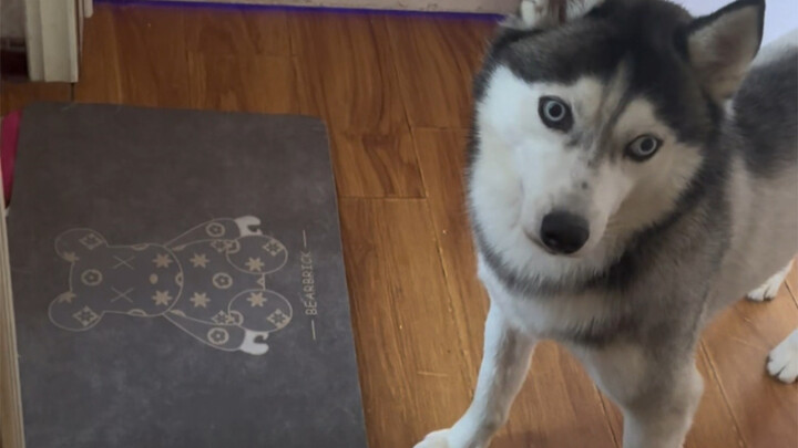 I just woke up and knew there was a surprise. Let me slap you first.