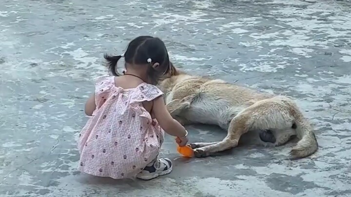 อายุที่แม้แต่หมาก็ยังรังเกียจจริงๆ