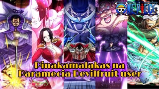 TOP5|5 PINAKAMALAKAS NA PARAMECIA DEVILFRUIT USER SA ONEPIECE