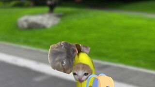 Baru masuk sekolah sudah dapat penghargaan tiga