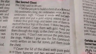 Daily Verse.           Exodus 25:17-22