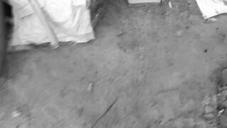 这种视频还会火吗？