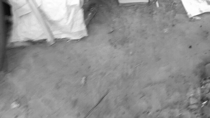 Will videos like this still become popular?