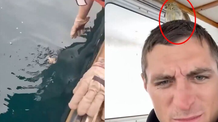A male crew member went out to sea to rescue a bird that fell into the sea. The bird stuck to its re