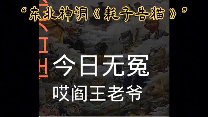 “东北神调《耗子告猫》”