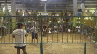Win sota 7yr old