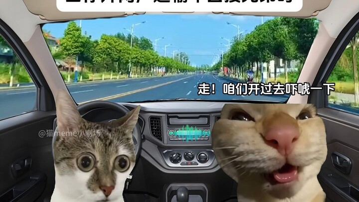 Khi bạn lái xe vận tải Lưỡng Quảng đi đón anh em