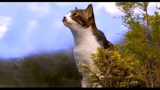 JURASSIC PARK - CAT EDIT #shorts #cats #cutecat #funnycats