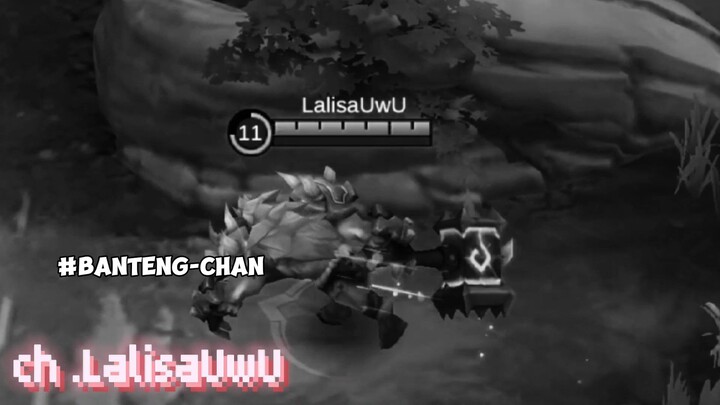 Laperrr!!! Lagi Nyari Rumput Segar sambil Ngonser Biduan👁️👄👁️