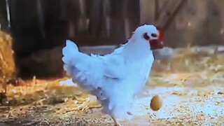 Dengarkan jejak abu-abu, jadilah ikun yang penuh kasih