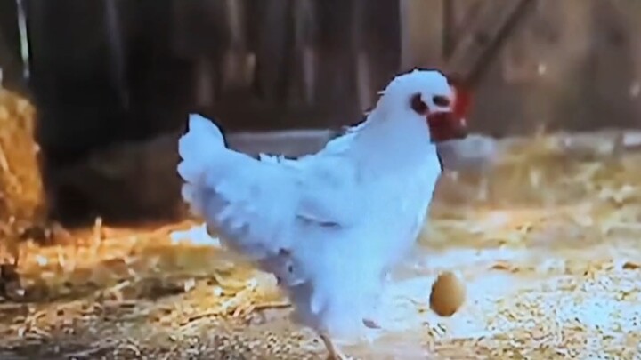 Listen to Gray Trajectory, be a heartfelt ikun.