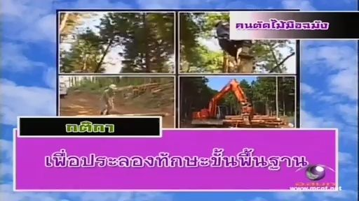 ทีวีแชมเปี้ยน (TV Champion) 2 กรกฎาคม 2555: การแข่งขันคนตัดไม้มือฉมัง