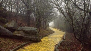 The Wonderful Wizard of Oz - 03 Adventures Along Waits at the Yellow Brick Road. Departure to Hope