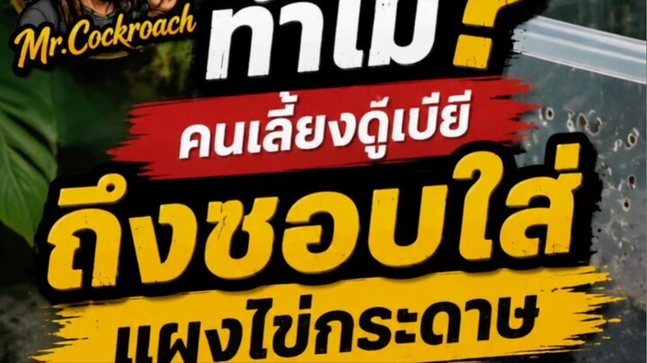 3 ข้อผิดพลาดของมือใหม่ที่เลี้ยงดูเบียแล้วตายยกกล่อง
