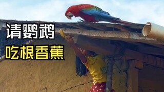 那些美好的动物视频！
