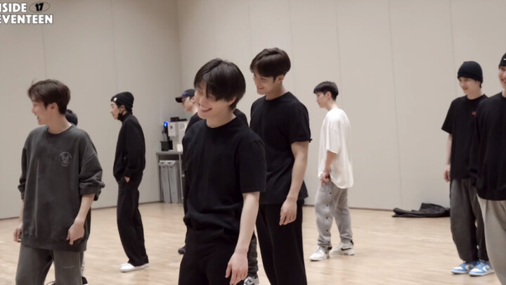 【SEVENTEEN】搞 笑 男 团