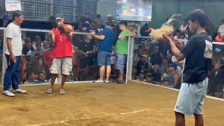 Win ! using sweter kelso