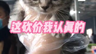 砍价我是认真的