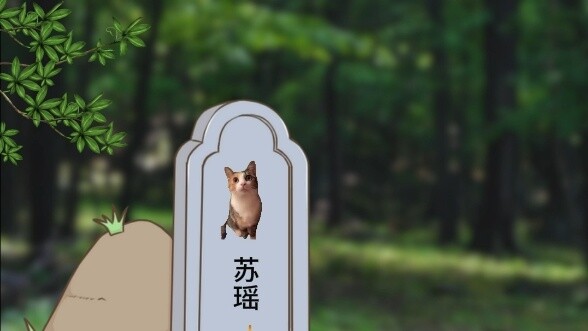 "Mạng lưới Dreamweaver" #catemem #catmemestory #catmemetheater