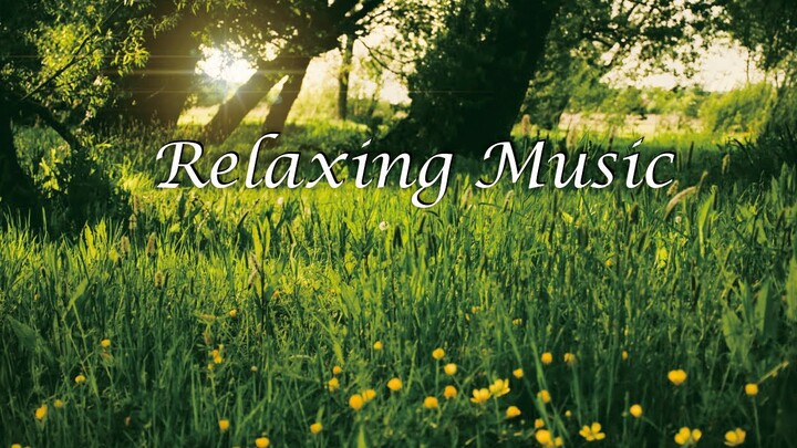 Musik Relaksasi : Terapi Otak Suara Alam, Relaksasi Ketenangan dan Kedamaian, Pengantar Tidur😴