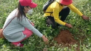 Tree Planting Activity.